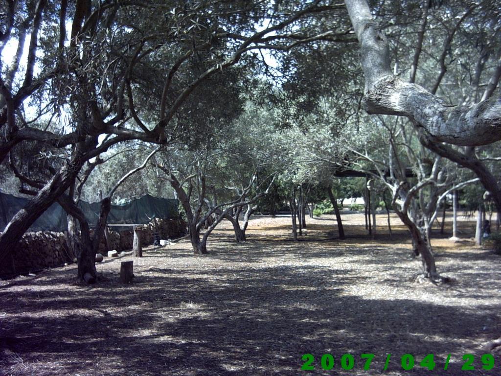 Agriturismo Mediterraneo Camping Marzamemi Esterno foto